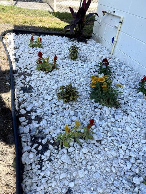 3Brdrm Home Near Downtown Orlando And Winterpark Екстер'єр фото