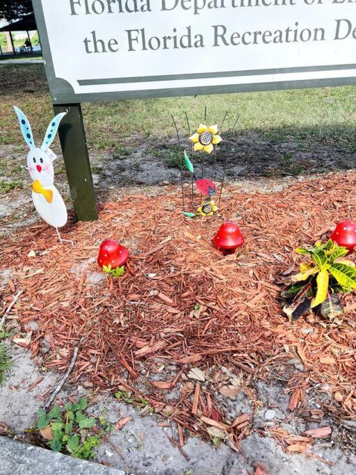3Brdrm Home Near Downtown Orlando And Winterpark Екстер'єр фото